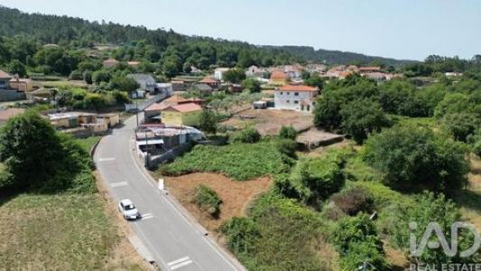 Acheter Terrain 963 m2 Miranda-do-corvo