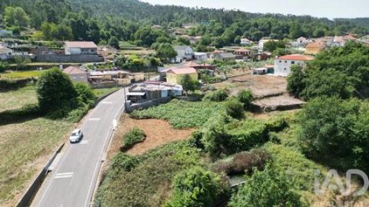 Acheter Terrain Miranda-do-corvo r�gion COIMBRA