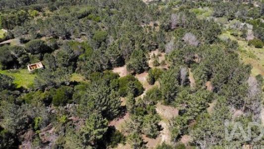 Acheter Terrain Aljezur r�gion FARO