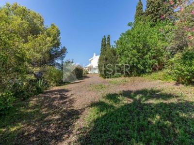 Acheter Terrain 3690 m2 Albufeira