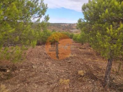 Annonce Vente Terrain Castro-marim