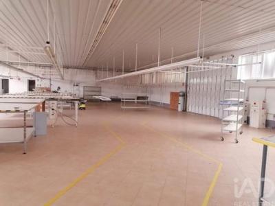 Acheter Local industriel 360 m2 Pacos-de-ferreira