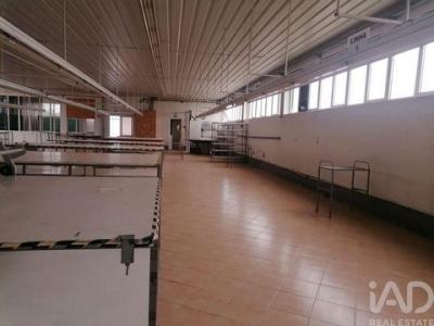 Acheter Local industriel Pacos-de-ferreira r�gion PORTO