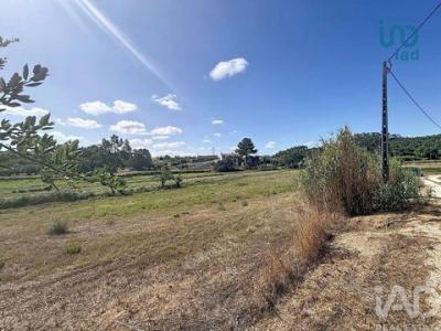 Acheter Maison Rio-maior r�gion SANTAREM