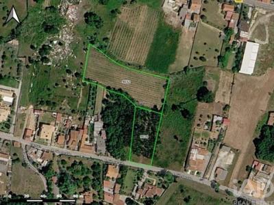Annonce Vente Terrain Anadia