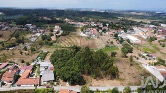 Acheter Terrain Anadia r�gion AVEIRO