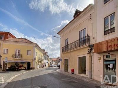 Acheter Maison 307 m2 Alcobaca