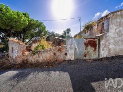 Acheter Maison Sao-bras-de-alportel r�gion FARO
