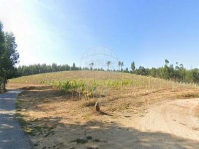 Annonce Vente Terrain Celorico-de-basto
