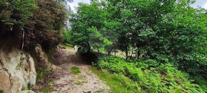 Vente Terrain Terras-de-bouro  03 au Portugal