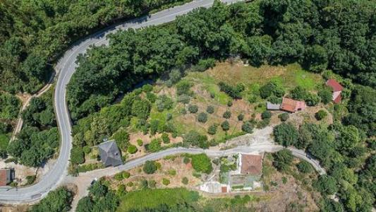 Acheter Maison Cabeceiras-de-basto r�gion BRAGA