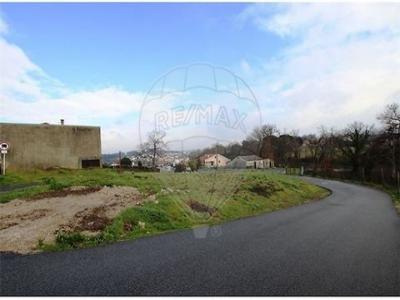 Acheter Terrain 3910 m2 Guimaraes
