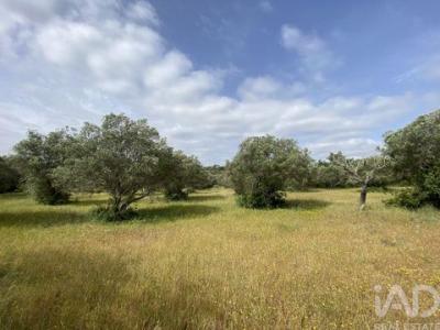 Annonce Vente Terrain Faro