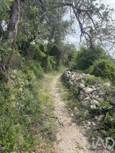 Acheter Terrain 16669 m2 Faro