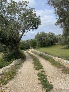 Acheter Terrain Faro r�gion FARO