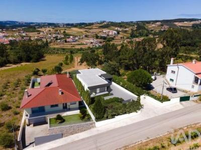 Annonce Vente Terrain Alcobaca
