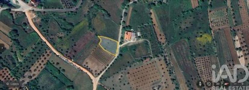 Annonce Vente Terrain Ansiao