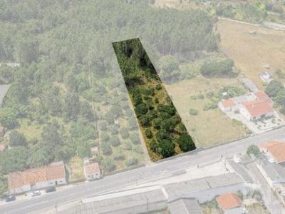 Annonce Vente Terrain Marinha-grande