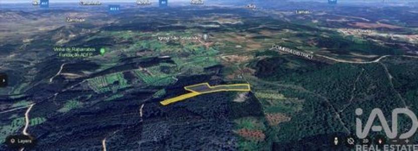 Vente Terrain Ansiao ALVORGE 10 au Portugal