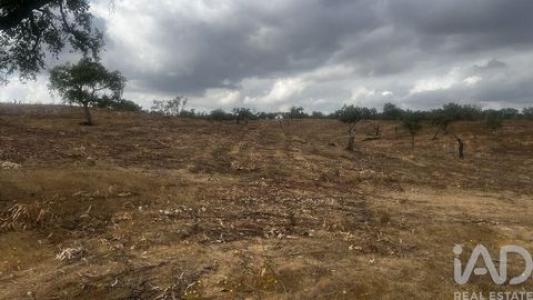 Vente Terrain Santiago-do-cacem ABELA 15 au Portugal