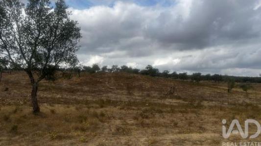 Annonce Vente Terrain Santiago-do-cacem