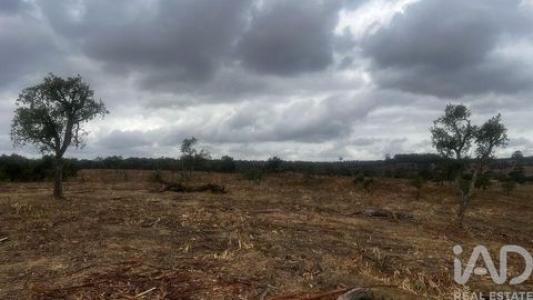 Acheter Terrain 6650 m2 Santiago-do-cacem