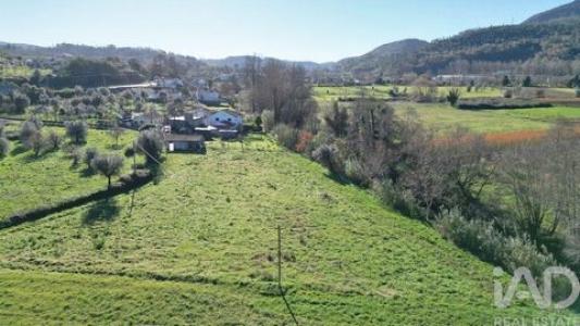 Vente Terrain Penela SA�O-MIGUEL,-SANTA-EUFA�MIA-E-RABAA�AL 06 au Portugal