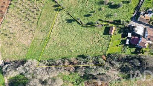 Annonce Vente Terrain Penela