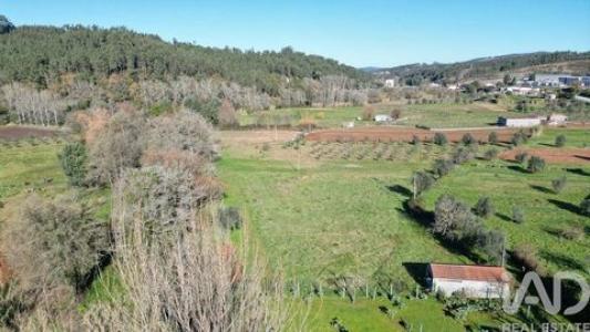 Acheter Terrain Penela r�gion COIMBRA