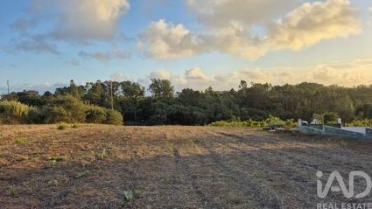 Acheter Terrain 3916 m2 Alcobaca