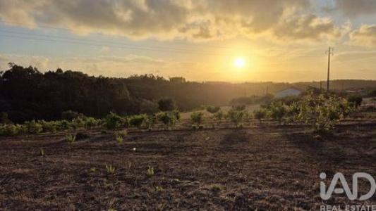 Acheter Terrain Alcobaca r�gion LEIRIA