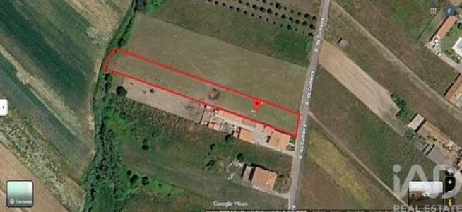 Annonce Vente Terrain Alcobaca