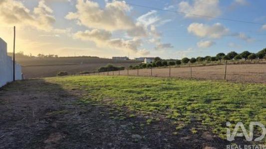 Acheter Terrain Alcobaca r�gion LEIRIA