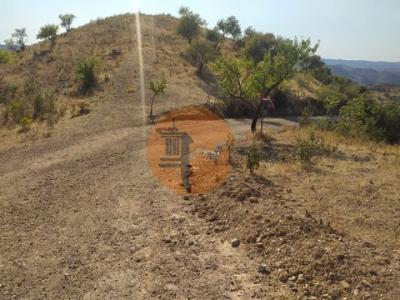 Annonce Vente Terrain Castro-marim