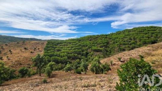 Annonce Vente Terrain Silves
