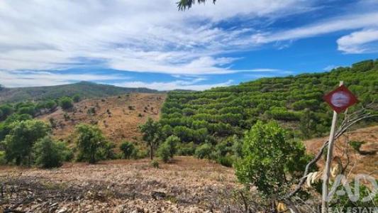 Acheter Terrain Silves r�gion FARO