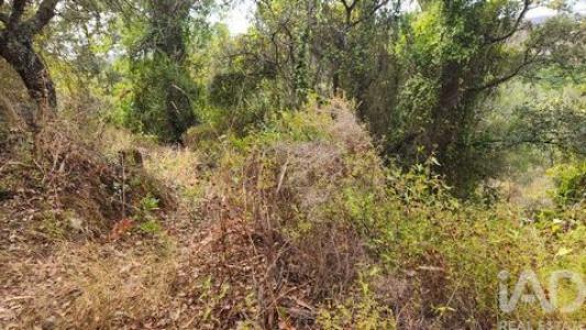 Acheter Terrain 1240 m2 Silves