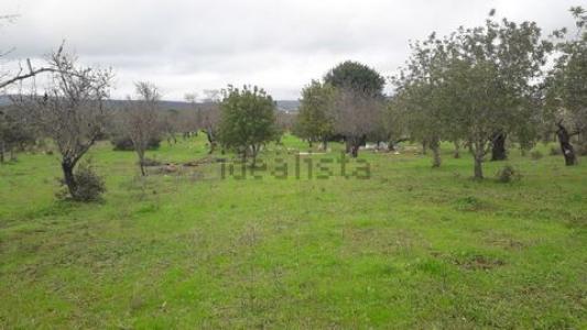 Acheter Terrain Paderne r�gion FARO