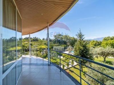 Acheter Local commercial Fundao r�gion CASTELO-BRANCO