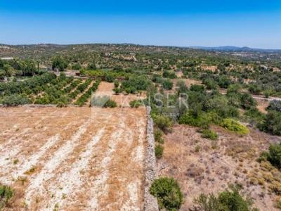 Acheter Terrain Albufeira r�gion FARO