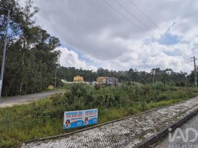 Vente Terrain Oliveira-de-azemeis FAJA�ES 01 au Portugal