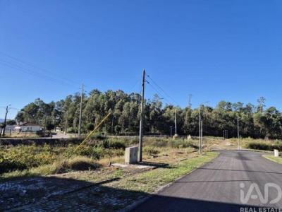 Annonce Vente Terrain Oliveira-de-azemeis