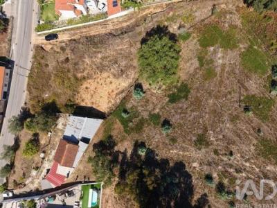 Vente Terrain Coimbra EIRAS-E-SA�O-PAULO-DE-FRADES 10