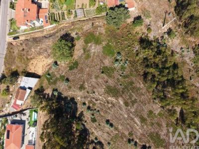 Acheter Terrain 12800 m2 Coimbra