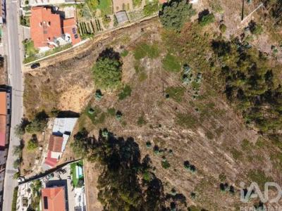 Acheter Terrain Coimbra r�gion LEIRIA