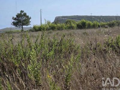 Annonce Vente Terrain Sesimbra