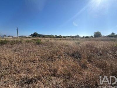 Acheter Terrain Sesimbra r�gion SETUBAL