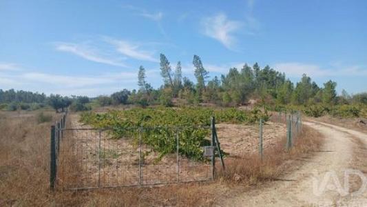 Annonce Vente Terrain Castelo-branco