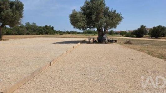 Acheter Terrain 8280 m2 Albufeira