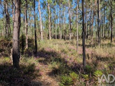 Acheter Terrain 4000 m2 Barcelos